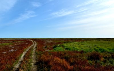 Ik kan met een vredige blik naar mijn ouders kijken