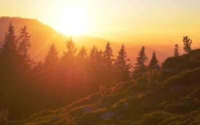 Wat een fijne persoon en fijne begeleiding!