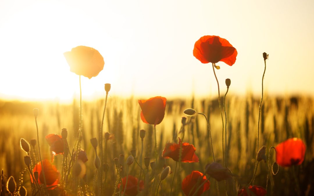 Geert bouwt heel veel rust in en begeleid alle opstellingen met zijn volste aandacht.