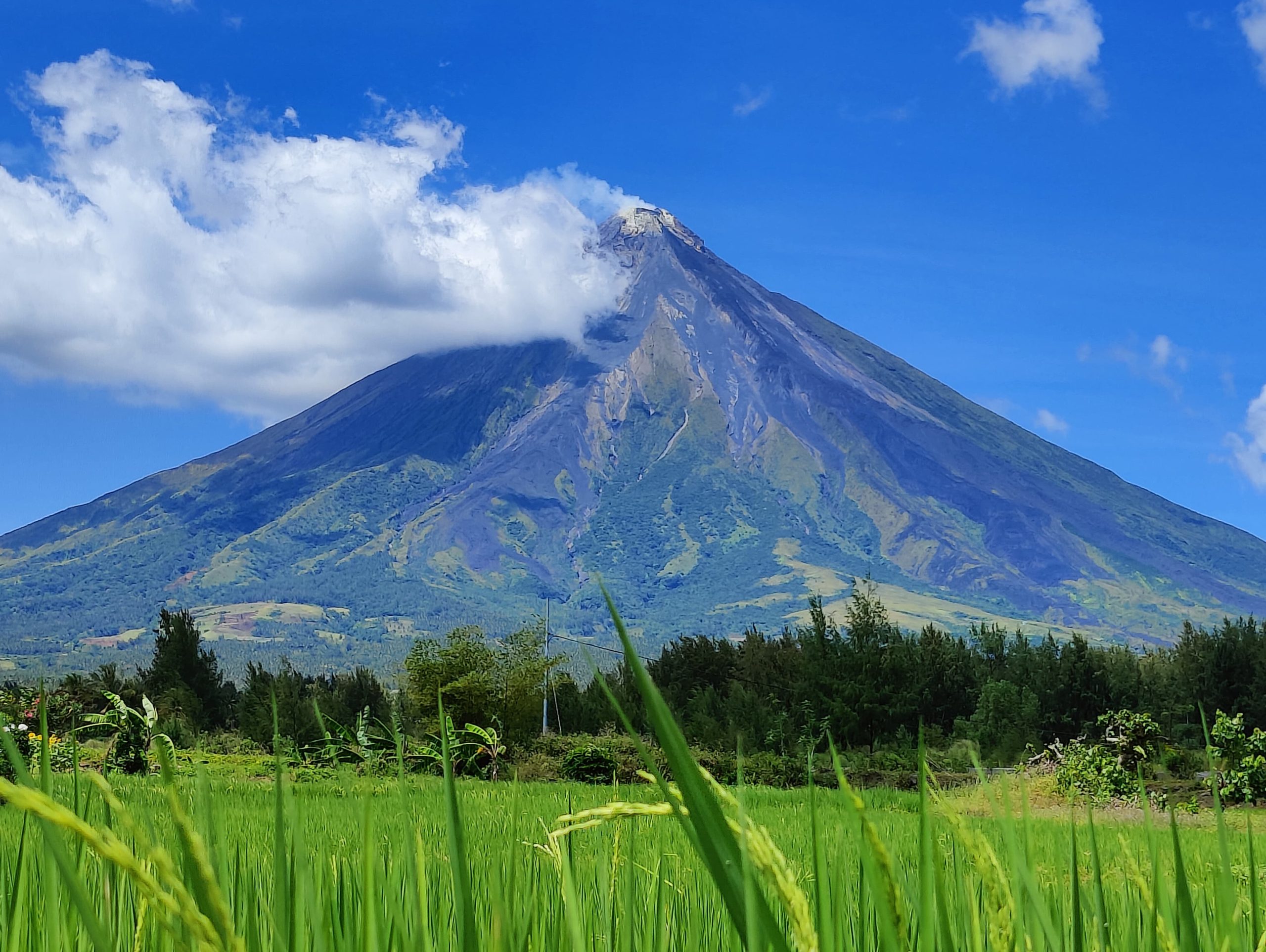 WhatsApp Image 2024-03-28 at 17.10.16